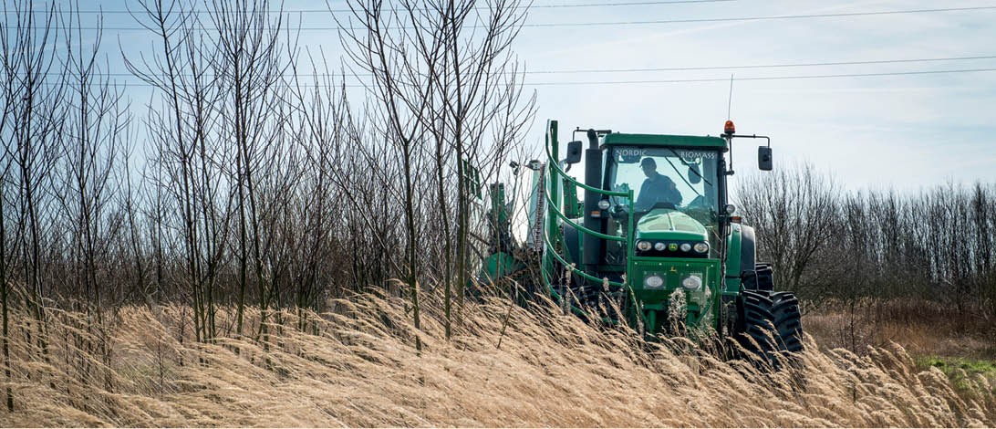 Bio2Clean pakt bodemverontreiniging aan met planten en bacteriën