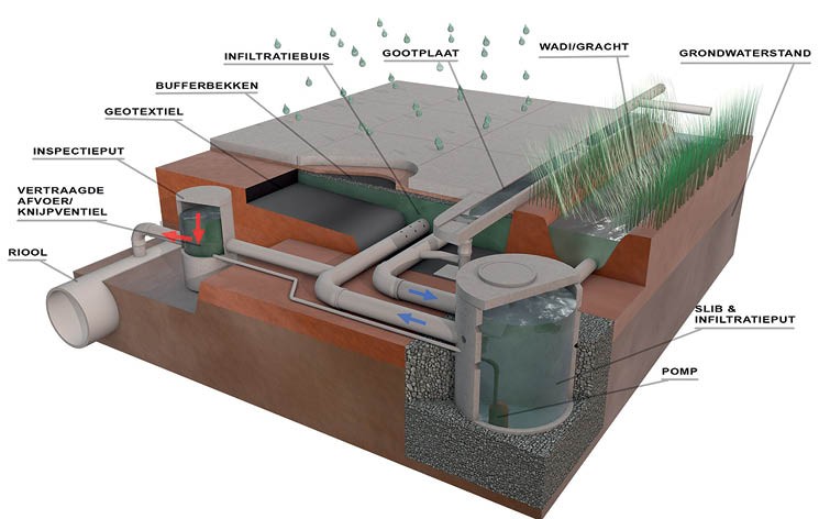 Meer inzetten op infiltratie van regenwater