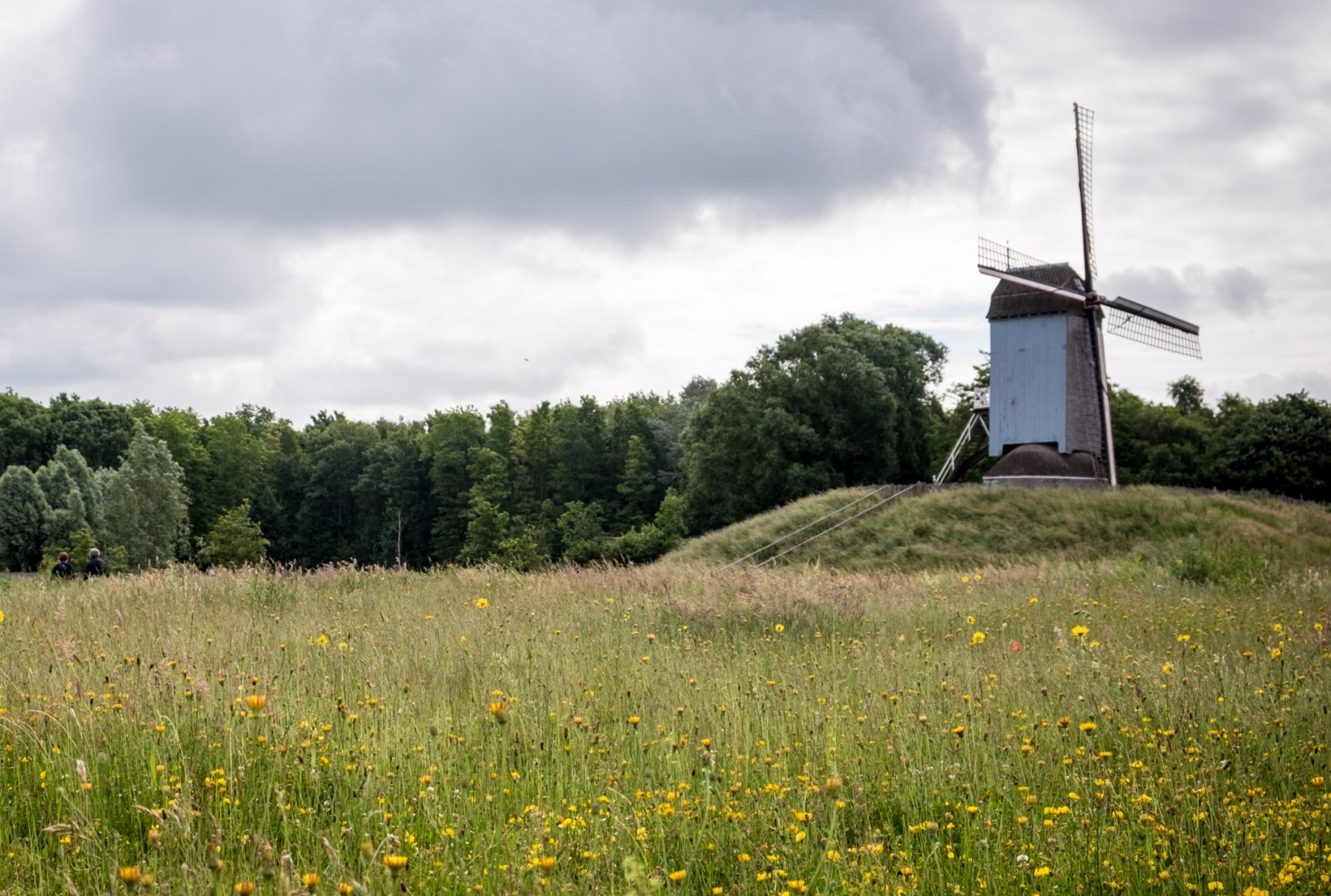 Koutermolen Harelbeke