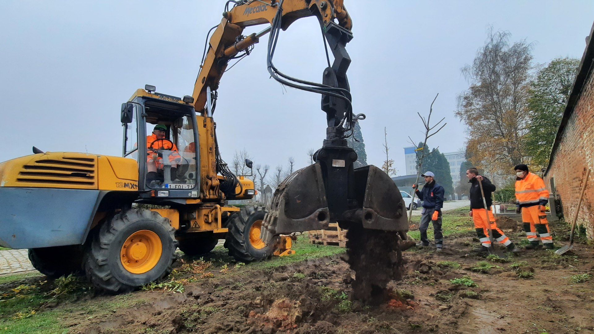 Stedelijke begraafplaats Leuven wordt plantenlaboratorium (1)