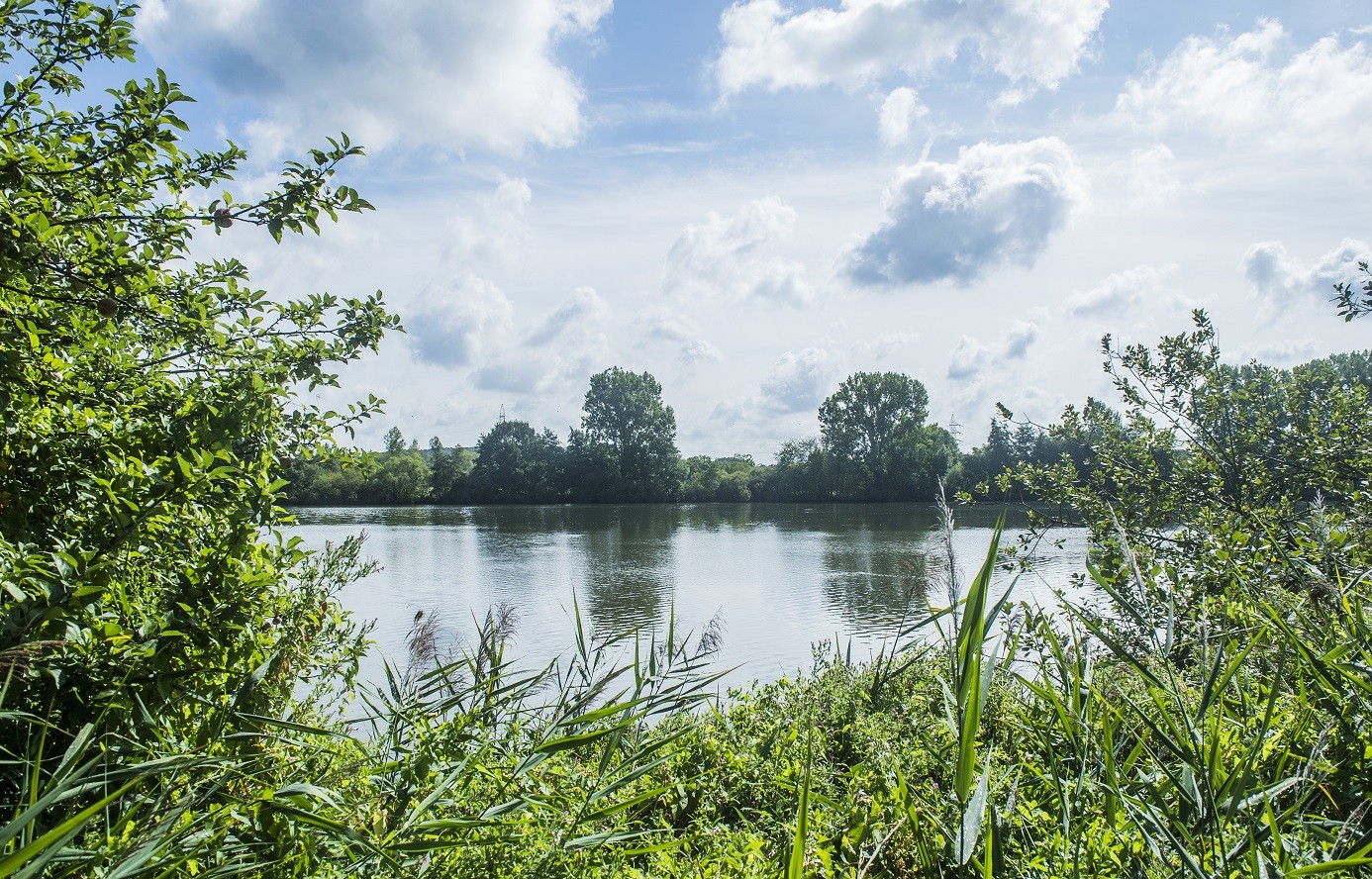 Leuven zoekt ontwerpteam voor toekomstvisie Bellefroid-vijvers © Stad Leuven - Jan Crab (1)