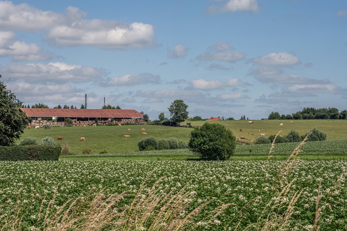 Bond Beter Leefmilieu dringt aan op realisatie bouwshift (3)