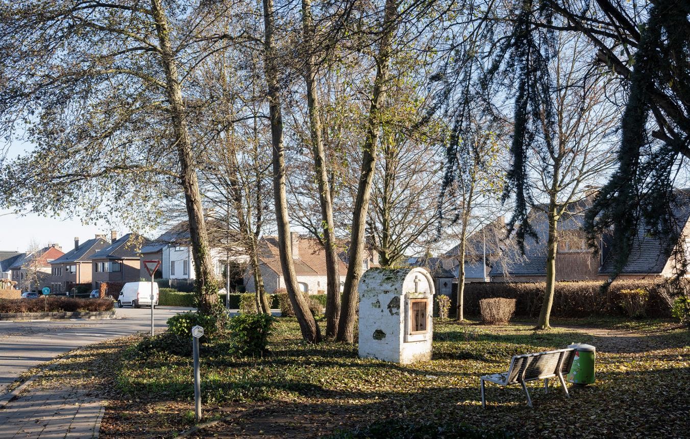 Halle werkt aan toekomst van Don Boscowijk (1)