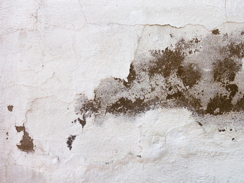 damaged-white-wall-texture-800x600