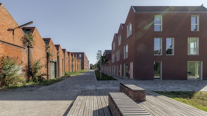 REVIVE---Saffrou---2025---Oudenaarde---V.-Clarysse---20-(1)