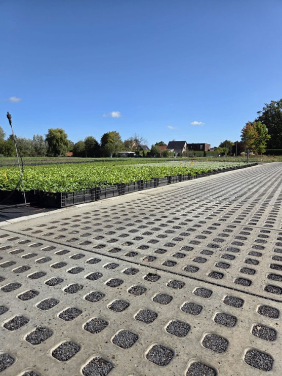 OK_Ebema_LivingCity_Hydrops-Solid-Drain_Hydro-Omni-grasbetontegels