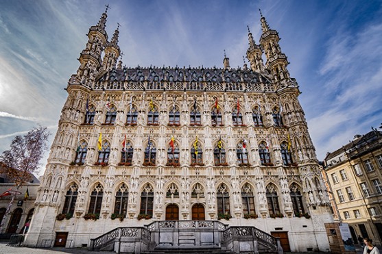 Historisch stadhuis Leuven krijgt nieuwe bestemming (1)