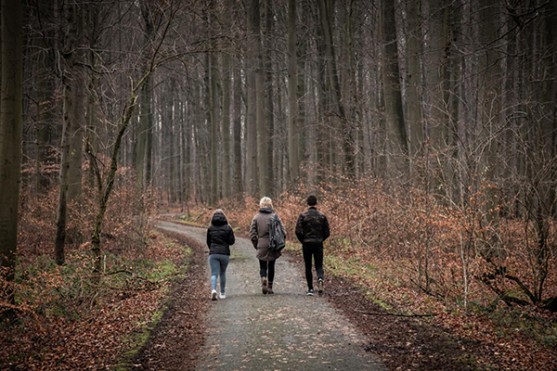 Zoniënwoud krijgt toegangspoort en belevingscentrum in Hoeilaart (20)