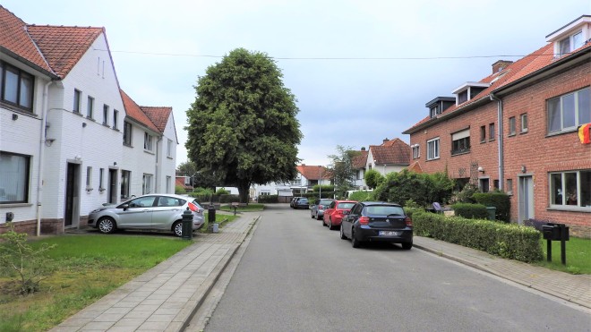 Leuven verzoent erfgoed en duurzaamheid in tuinwijk Ter Elst (1)