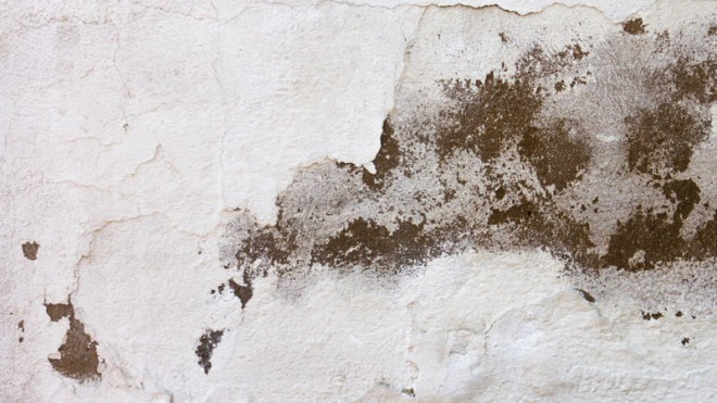 damaged-white-wall-texture-800x600